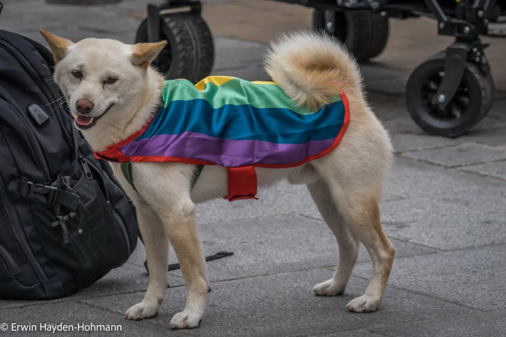 St. Pölten PRIDE 2024