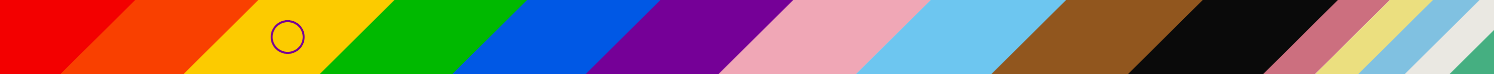 Inclusvie flag 3000x150
