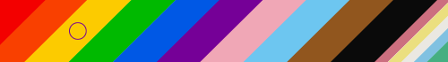 Inclusvie flag